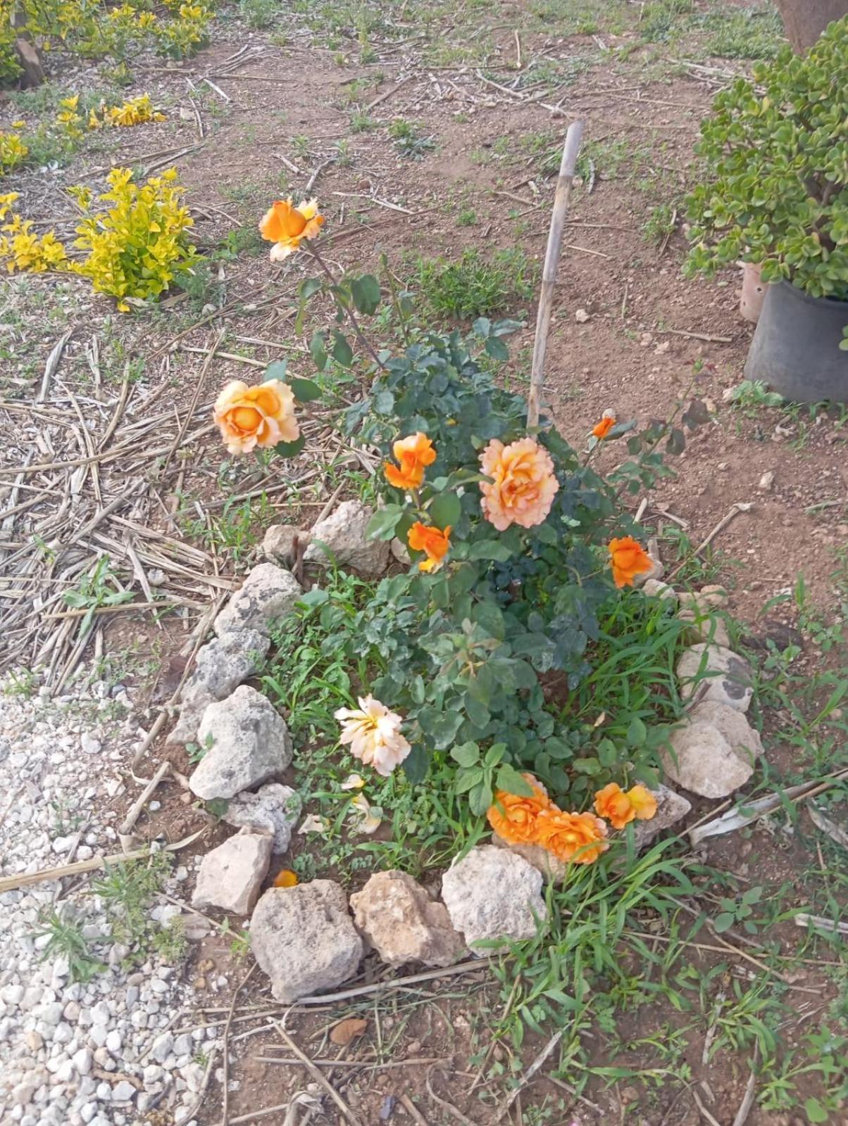 MerineCasolare Giardino Aiarella-Assunta公寓 客房 照片